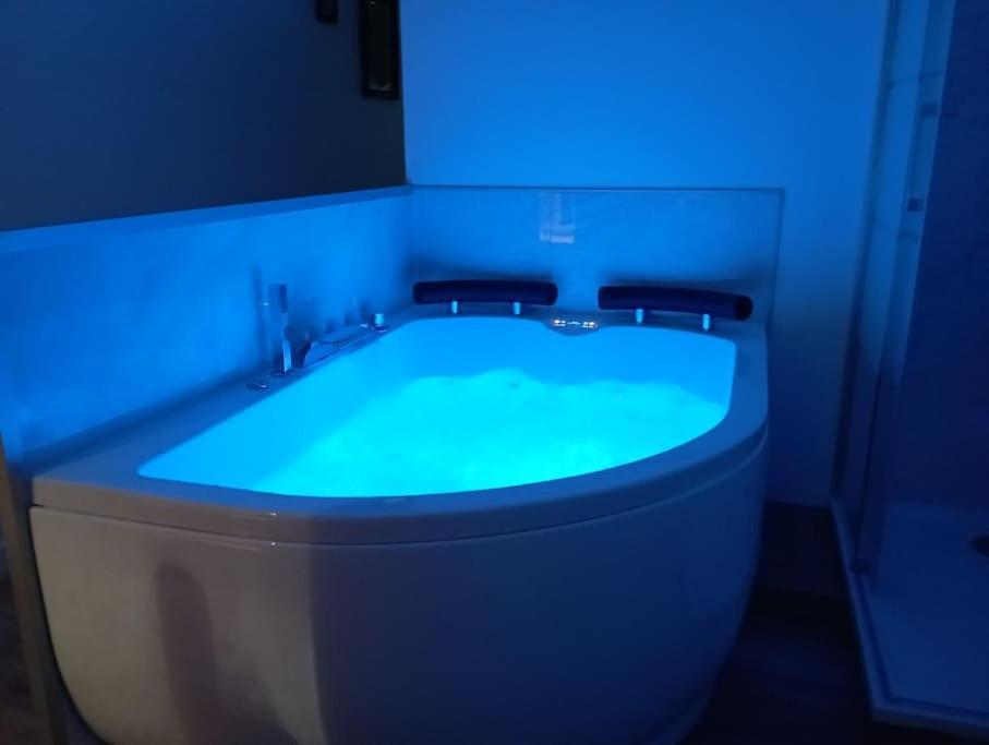 Sejour Sauna Et Jacuzzi Cocon La Roche-sur-Yon Buitenkant foto